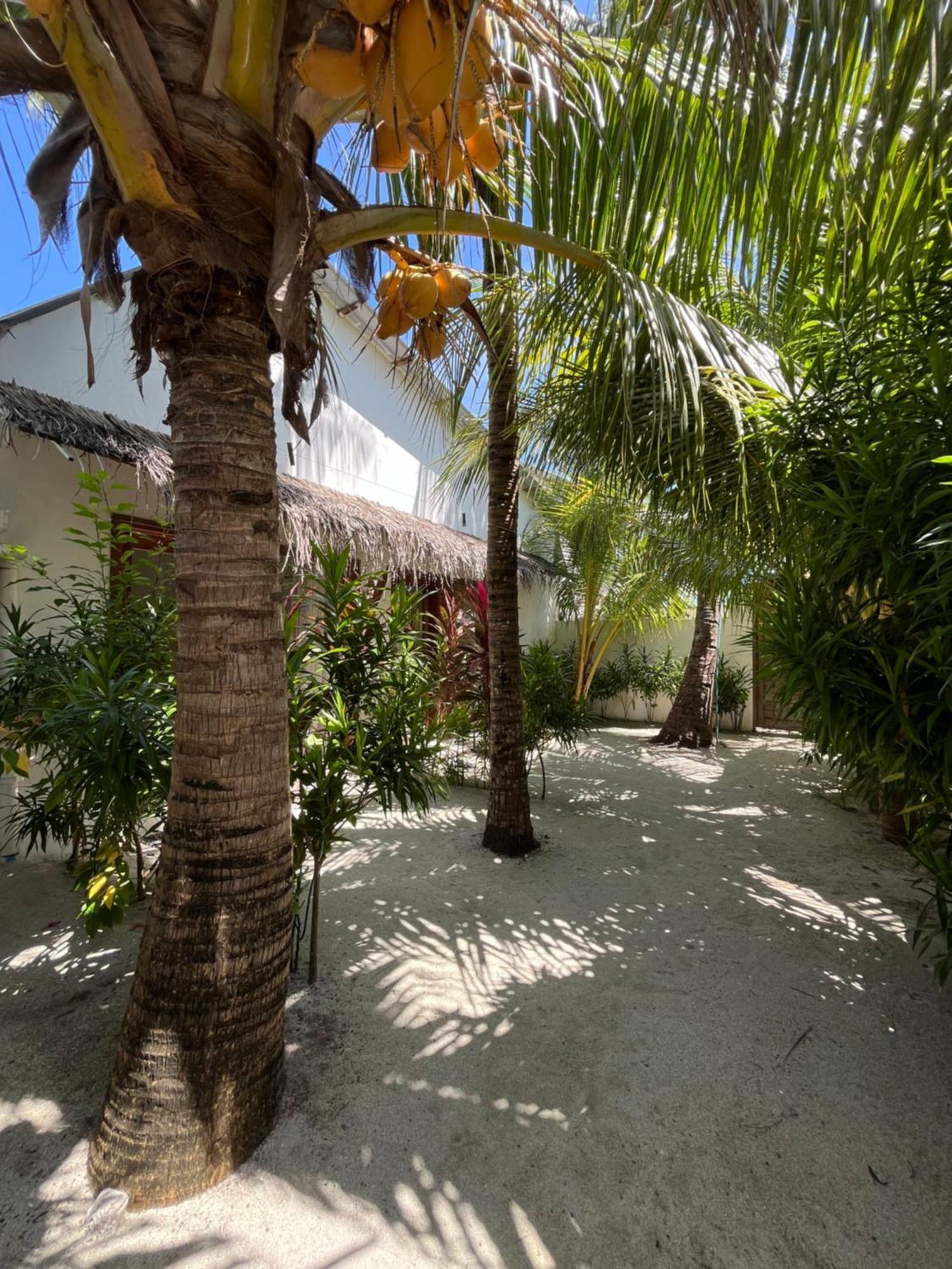Villa Kudi Maldives Guest House Тулусду Экстерьер фото