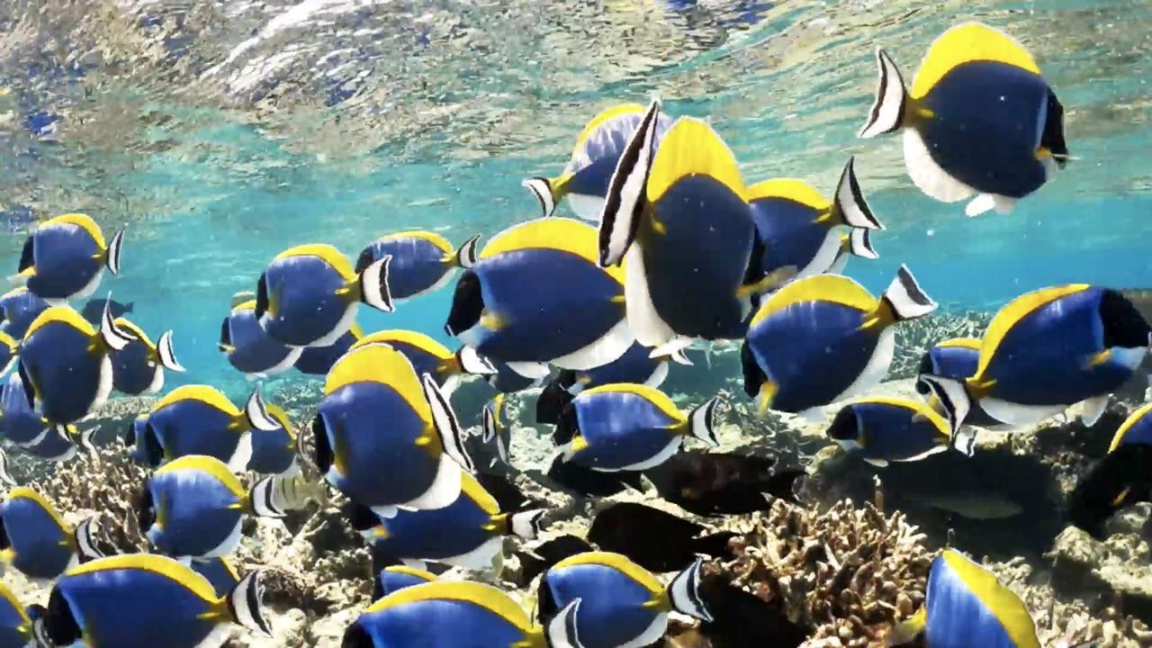 Villa Kudi Maldives Guest House Тулусду Экстерьер фото